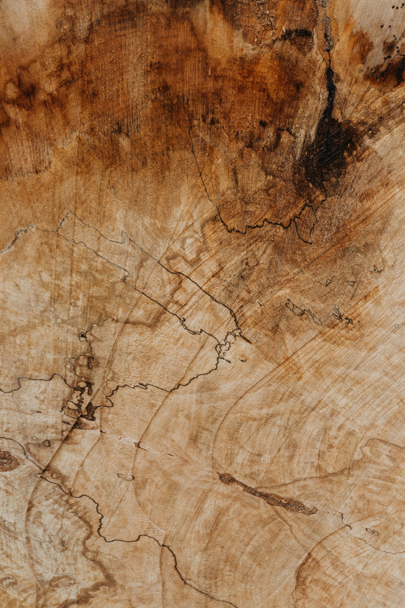 Macro of wood grain texture